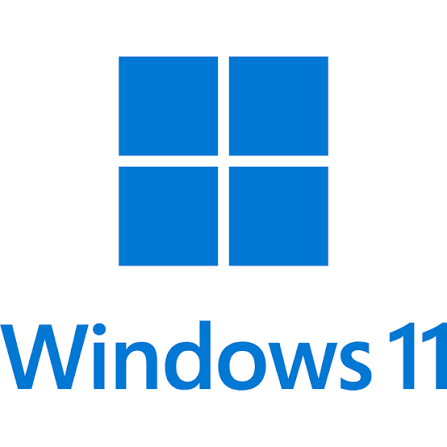 Windows 11